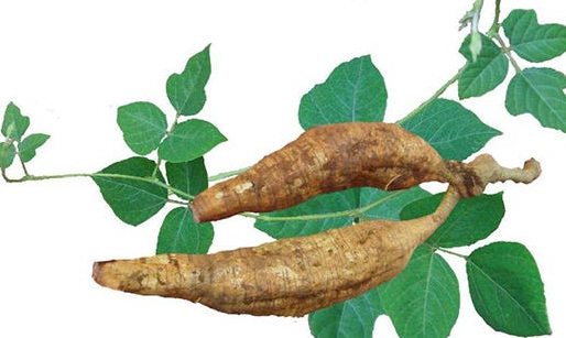 Potential Health Benefits of Kudzu Root.png